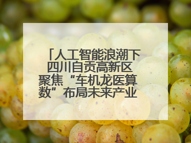 人工智能浪潮下 四川自贡高新区聚焦“车机龙医算数”布局未来产业丨美好生活有“盐”味