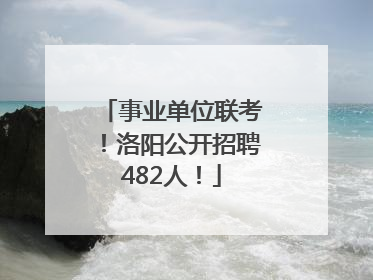 事业单位联考！洛阳公开招聘482人！