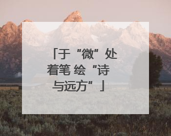 于“微”处着笔 绘“诗与远方”