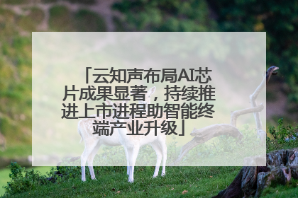 云知声布局AI芯片成果显著，持续推进上市进程助智能终端产业升级
