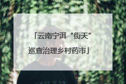 云南宁洱“街天”巡查治理乡村药市