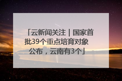 云新闻关注｜国家首批39个重点培育对象公布，云南有3个