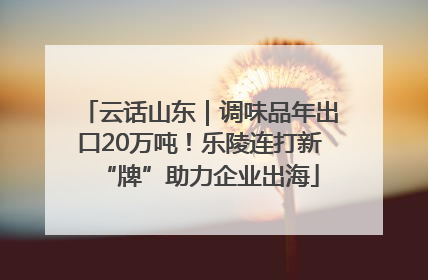 云话山东｜调味品年出口20万吨！乐陵连打新“牌”助力企业出海