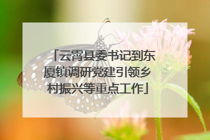 云霄县委书记到东厦镇调研党建引领乡村振兴等重点工作