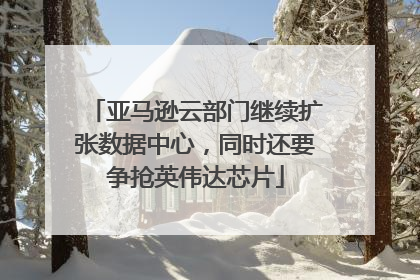 亚马逊云部门继续扩张数据中心，同时还要争抢英伟达芯片