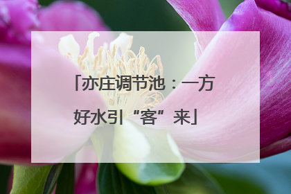 亦庄调节池：一方好水引“客”来