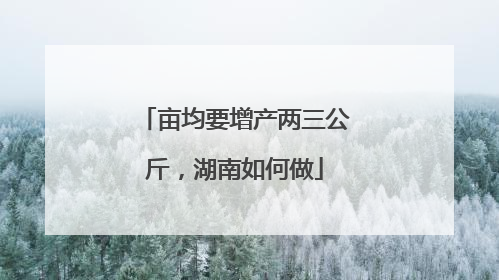 亩均要增产两三公斤，湖南如何做