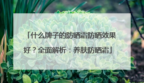 什么牌子的防晒霜防晒效果好？全面解析：养肤防晒霜