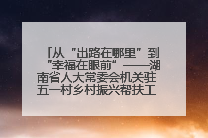从“出路在哪里”到“幸福在眼前”——湖南省人大常委会机关驻五一村乡村振兴帮扶工作队书写振兴答卷