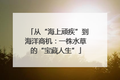 从“海上顽疾”到海洋商机：一株水草的“宝藏人生”