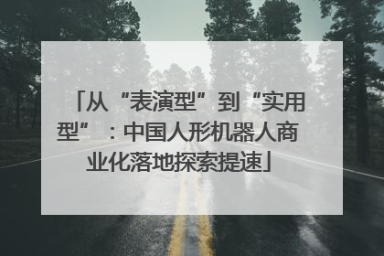 从“表演型”到“实用型”：中国人形机器人商业化落地探索提速