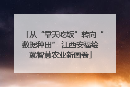 从“靠天吃饭”转向“数据种田” 江西安福绘就智慧农业新画卷