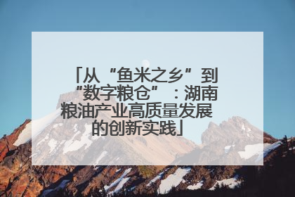 从“鱼米之乡”到“数字粮仓”：湖南粮油产业高质量发展的创新实践