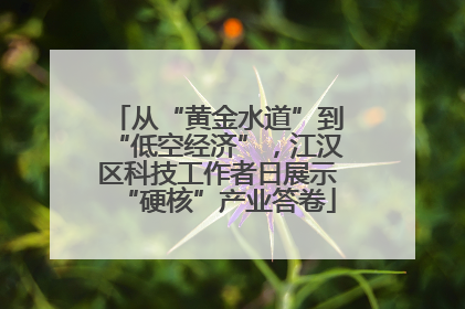 从“黄金水道”到“低空经济”，江汉区科技工作者日展示“硬核”产业答卷