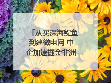 从买深海鳀鱼到建微电网 中企加速掘金非洲现代化｜直击中非经贸博览会