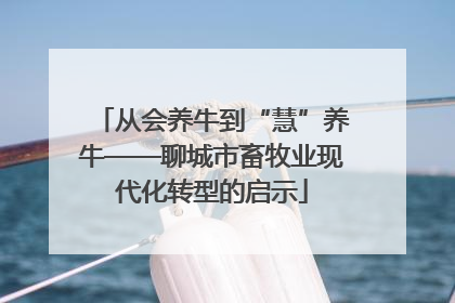 从会养牛到“慧”养牛——聊城市畜牧业现代化转型的启示