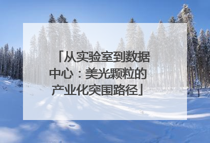 从实验室到数据中心：美光颗粒的产业化突围路径