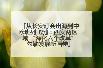 从长安灯会出海到中欧班列飞驰：西安两区域 “深化六个改革” 勾勒发展新画卷