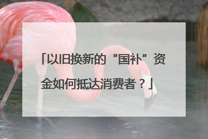以旧换新的“国补”资金如何抵达消费者？