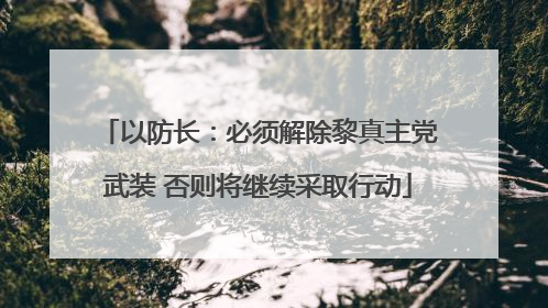 以防长：必须解除黎真主党武装 否则将继续采取行动