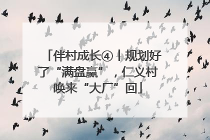伴村成长④丨规划好了“满盘赢”，仁义村唤来“大厂”回