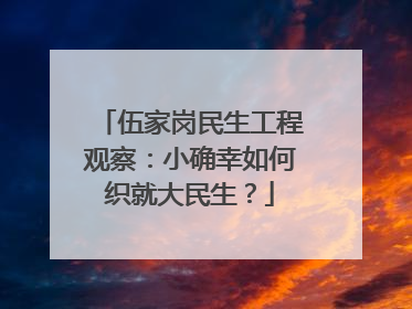 伍家岗民生工程观察：小确幸如何织就大民生？