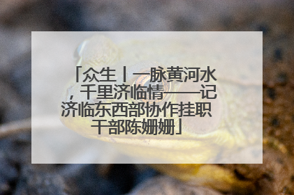 众生丨一脉黄河水，千里济临情——记济临东西部协作挂职干部陈姗姗