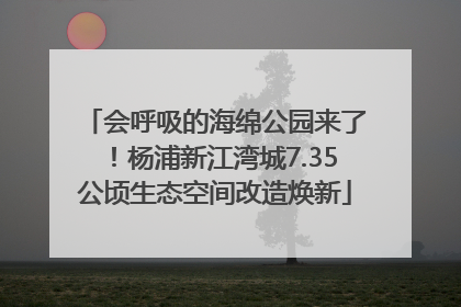 会呼吸的海绵公园来了！杨浦新江湾城7.35公顷生态空间改造焕新