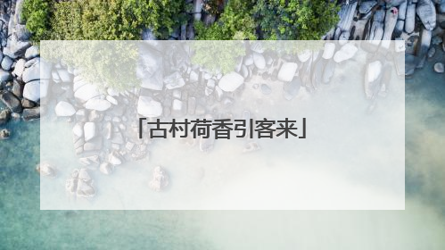 古村荷香引客来