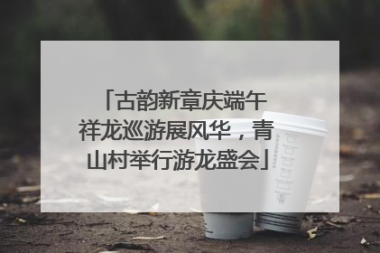 古韵新章庆端午 祥龙巡游展风华，青山村举行游龙盛会