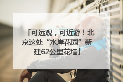 可远观，可近游！北京这处“水岸花园”新建62公里花墙