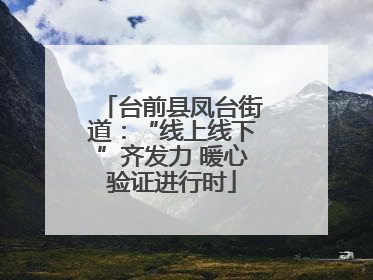 台前县凤台街道：“线上线下”齐发力 暖心验证进行时