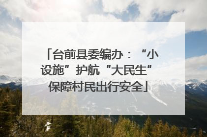 台前县委编办：“小设施”护航“大民生” 保障村民出行安全