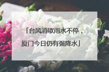台风消歇雨水不停，厦门今日仍有强降水