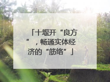 十堰开“良方”，畅通实体经济的“筋络”