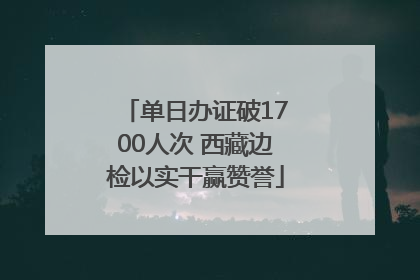 单日办证破1700人次 西藏边检以实干赢赞誉