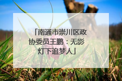 南通市崇川区政协委员王鹏：无影灯下追梦人