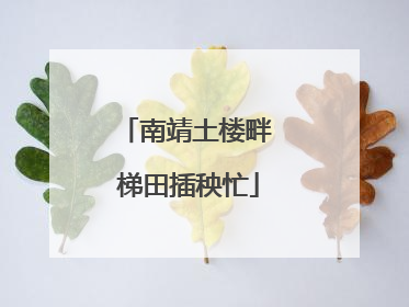 南靖土楼畔 梯田插秧忙