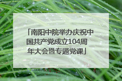 南阳中院举办庆祝中国共产党成立104周年大会暨专题党课