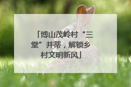 博山茂岭村“三堂”并蒂，解锁乡村文明新风