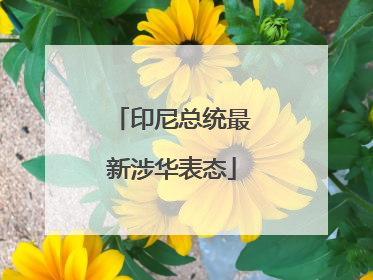印尼总统最新涉华表态