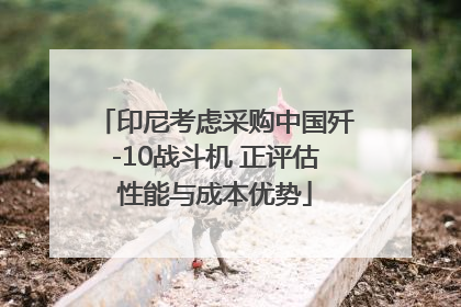 印尼考虑采购中国歼-10战斗机 正评估性能与成本优势