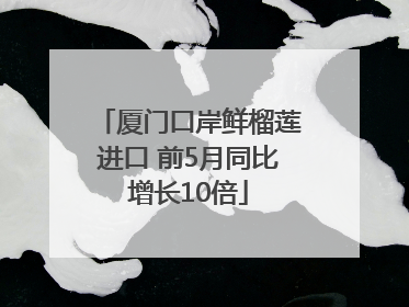 厦门口岸鲜榴莲进口 前5月同比增长10倍