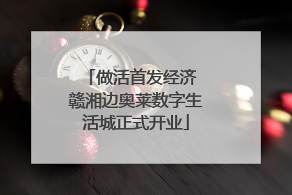 做活首发经济 赣湘边奥莱数字生活城正式开业