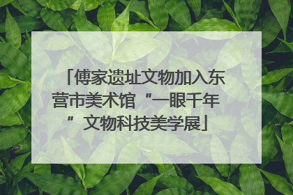 傅家遗址文物加入东营市美术馆“一眼千年”文物科技美学展