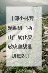 傅小林专题调研“两山”转化突破攻坚战推进情况