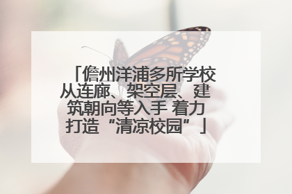 儋州洋浦多所学校从连廊、架空层、建筑朝向等入手 着力打造“清凉校园”