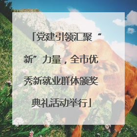党建引领汇聚“新”力量，全市优秀新就业群体颁奖典礼活动举行