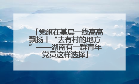 党旗在基层一线高高飘扬丨“去有村的地方”——湖南有一群青年党员这样选择