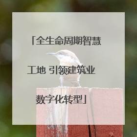 全生命周期智慧工地 引领建筑业数字化转型